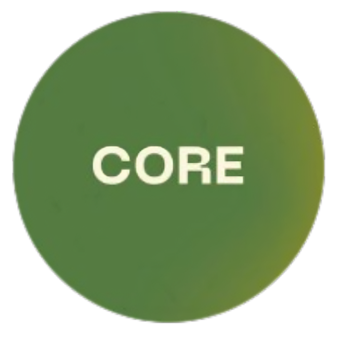 WordPress logo
